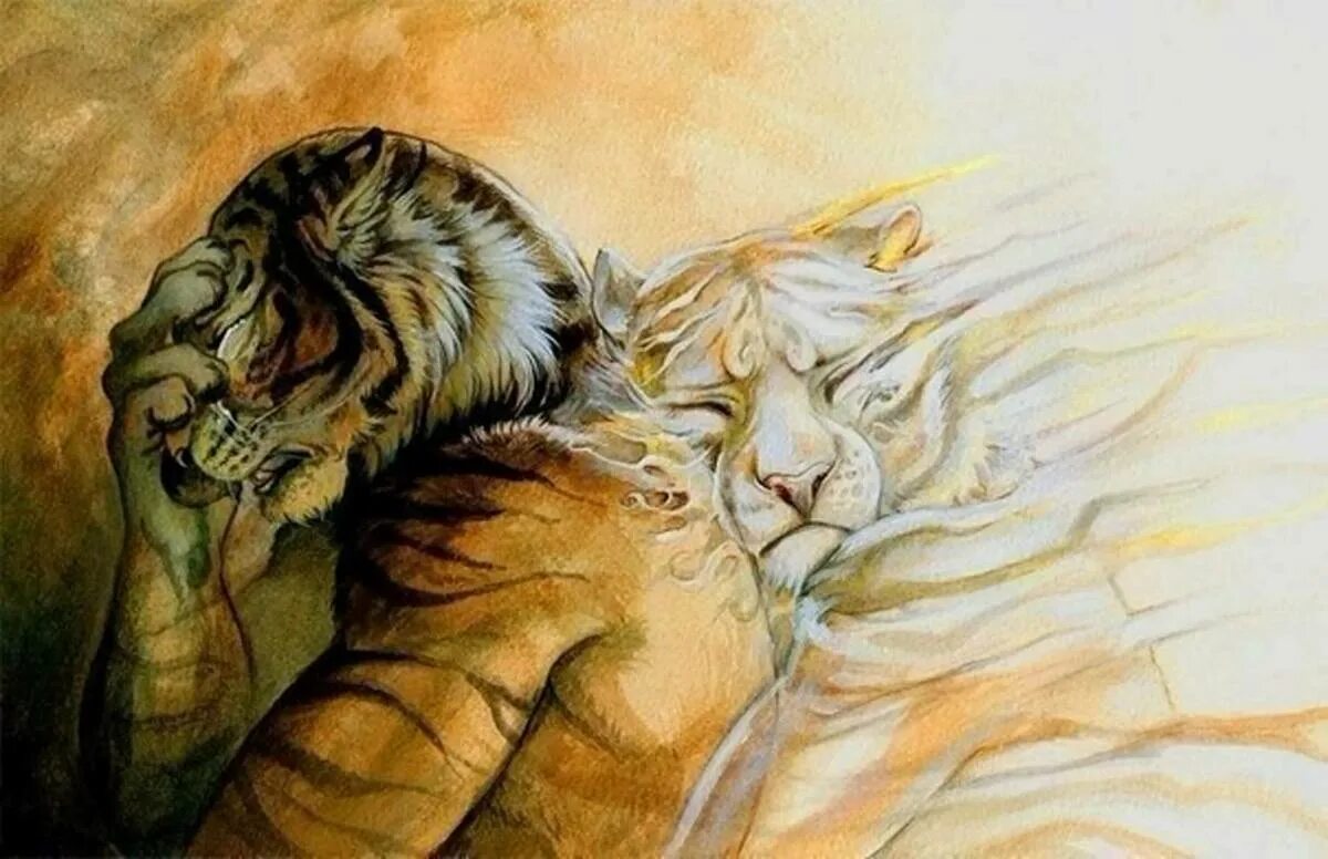 Анзор Жемухов. Объятия с тигром. Тигры любовь. Человек обнимает тигра. Лев будет твоим