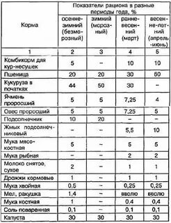 Рацион для кур