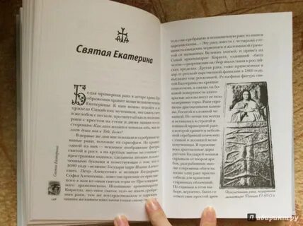 Святая земля книга
