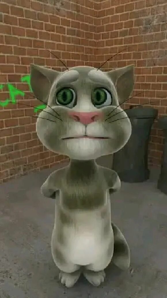 Talking Tom 2010. Talking Tom Cat 2010. Talking Tom Cat 2. Говорящий том фото. Говорящий том в 3 ночи