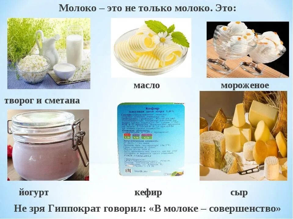 Можно хомякам творог. Определение качества молочных продуктов. Молоко определение. Определение качества молока и молочных продуктов. Презентация молока.