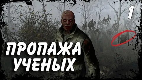Солянка пропавшая группа ученых