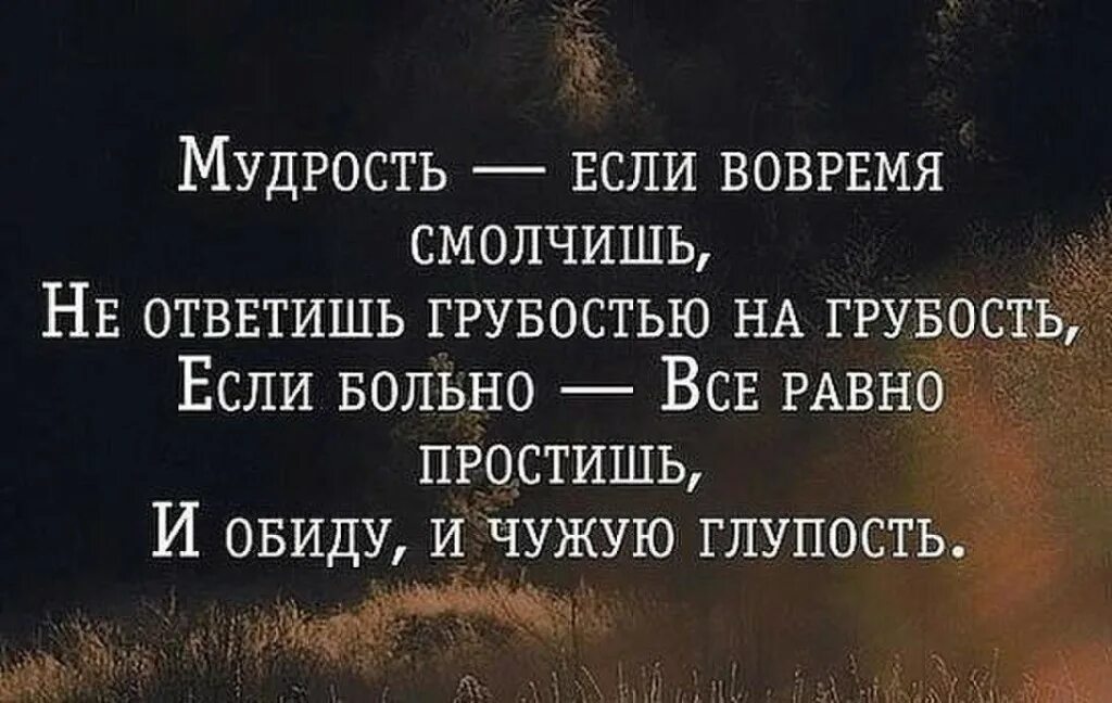 На вопросы отвечают молчанием. Умные высказывания. Цитаты. Афоризмы про мудрость. Умные цитаты.