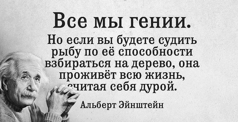 Судить рыбу по ее способности взбираться на дерево. Если рыбу судить по ее способности взбираться. Афоризмы про гениальность. Если вы будете судить рыбу по её способности.