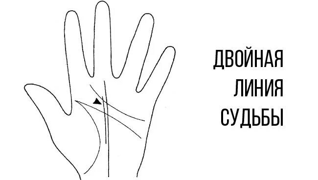 Линии судьбы. Двойная линия судьбы. Линия судьбы на руке двойная. Линия судьбы на ладони.