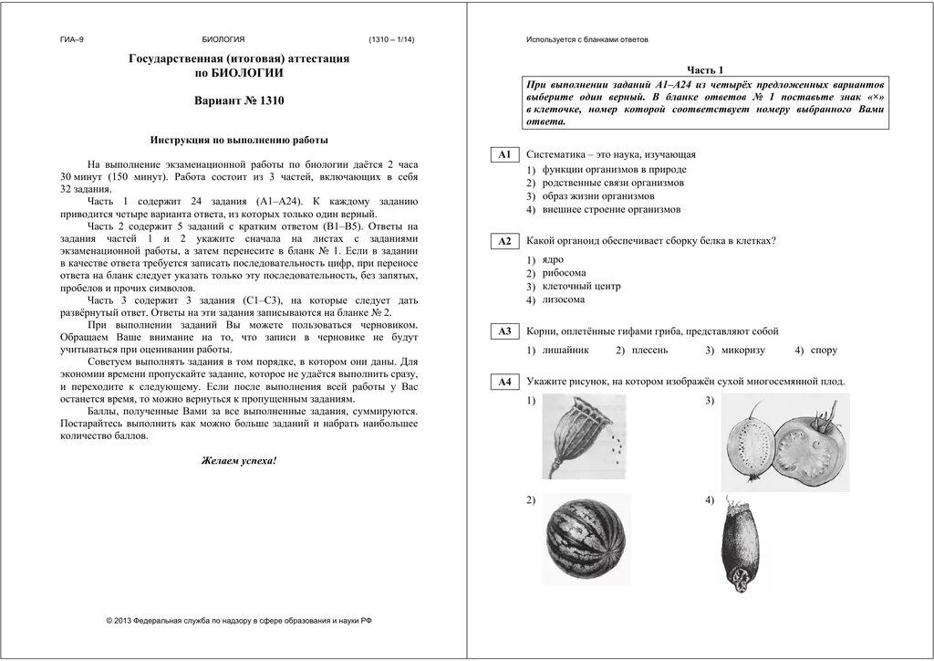 Экзаменационные работы по биологии за 9 класс. Аттестация по биологии 9 класс. Промежуточная аттестация по биологии 8 класс. Итоговая аттестация по биологии 9 класс. Промежуточная аттестация биология 11