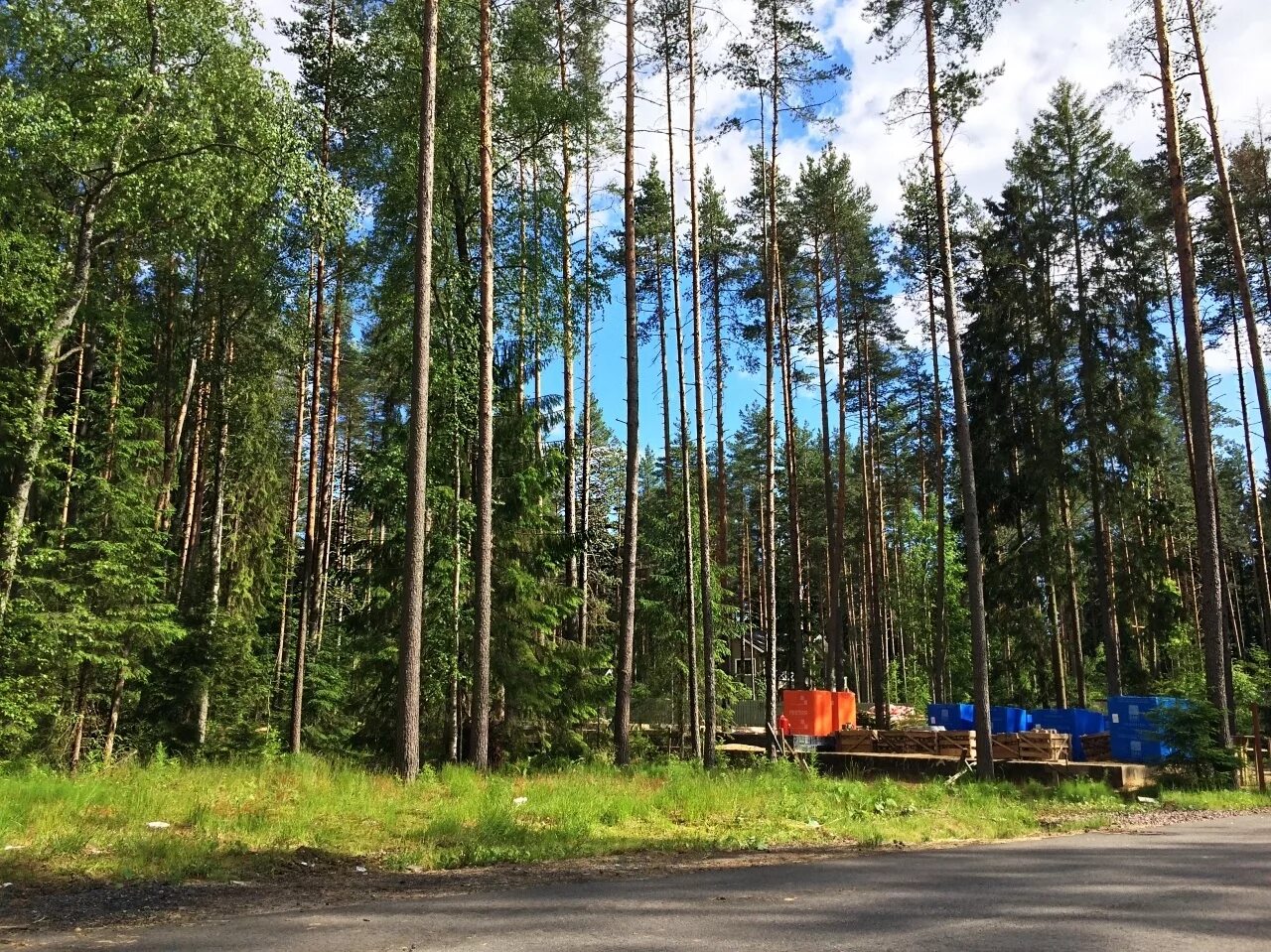 поселок комарово санкт петербург. комарово ленинградская область. поселок комарово ленинградская. поселок комарово ленинградская область. щучье озеро комарово.