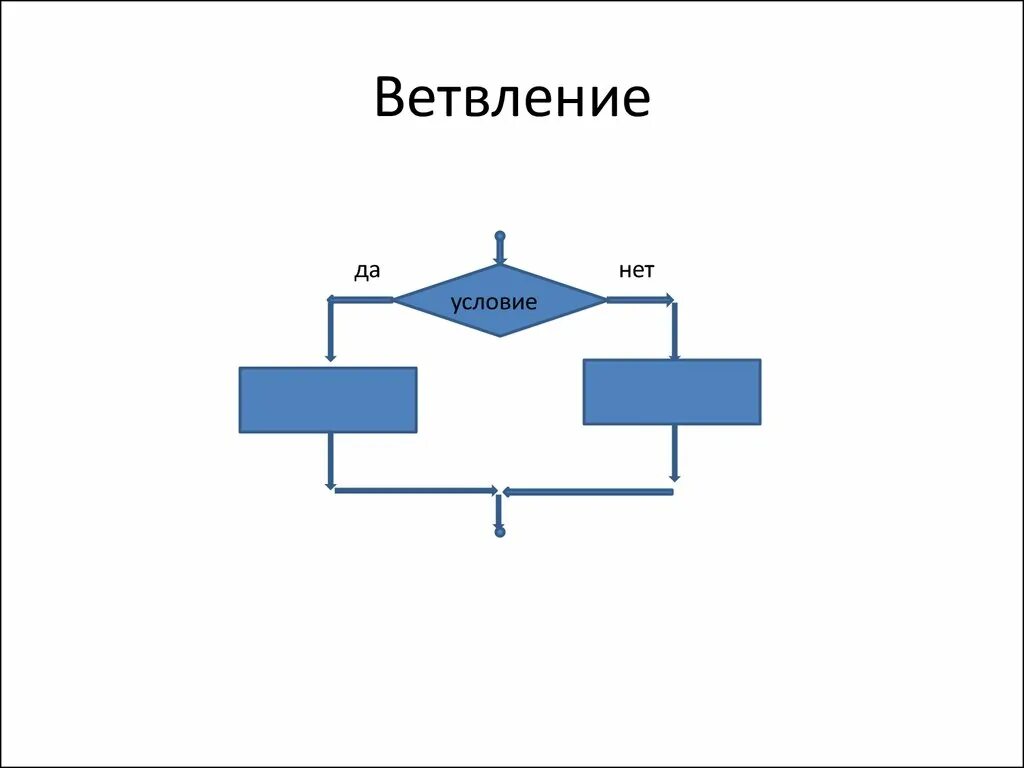 Алгоритмические структуры 11 класс