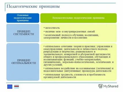 Общие педагогические принципы это