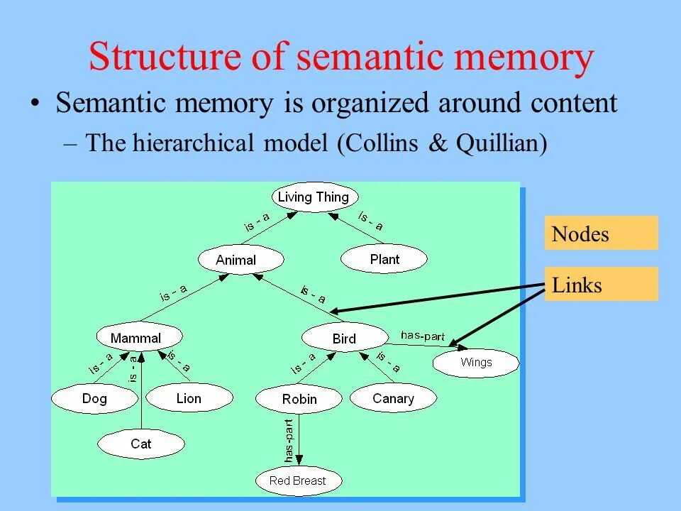 Semantic Memory. What is Memory. Types of semantic Transference.схема. Episodic Memory. Total systems