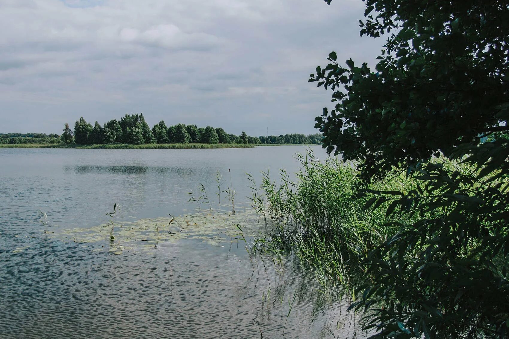 Озеро долгое витебская область. Долгое (озеро, белоруссия). Додоновское озеро ленинградская. Долгое (озеро, белоруссия). Озеро долгое беларусь.