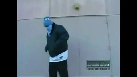 Музыка на горе стоял верблюд