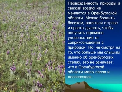Почему оренбургская область