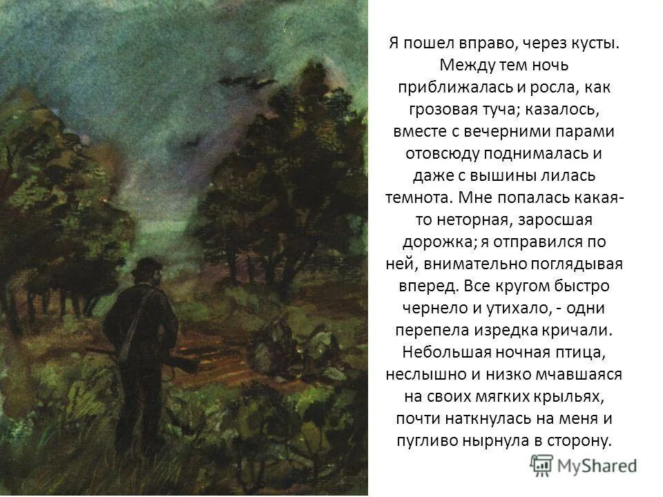 тургенев записки охотника бежин луг. все вокруг быстро чернело и утихало. мне попалась какая-то неторная заросшая. я отправился по ней внимательно поглядывая вперед. синтетический разбор.
