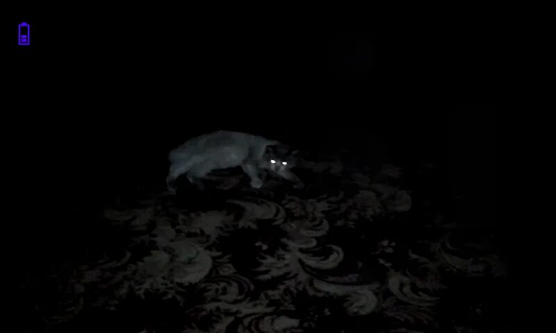 Волчьи глаза в ночи. Волки светятся глаза. Черный волк. Глаза волка в темноте светятся. Волки светятся глаза.