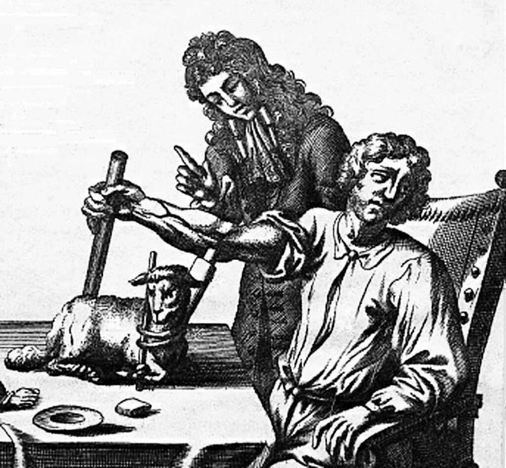 Екатерина медичи варфоломеевская ночь. Екатерина медичи варфоломеевская ночь картина. Врач-акушер джеймс бланделл. Эдуард бернар деба-понсан. Первое в истории успешное переливание крови человеку.