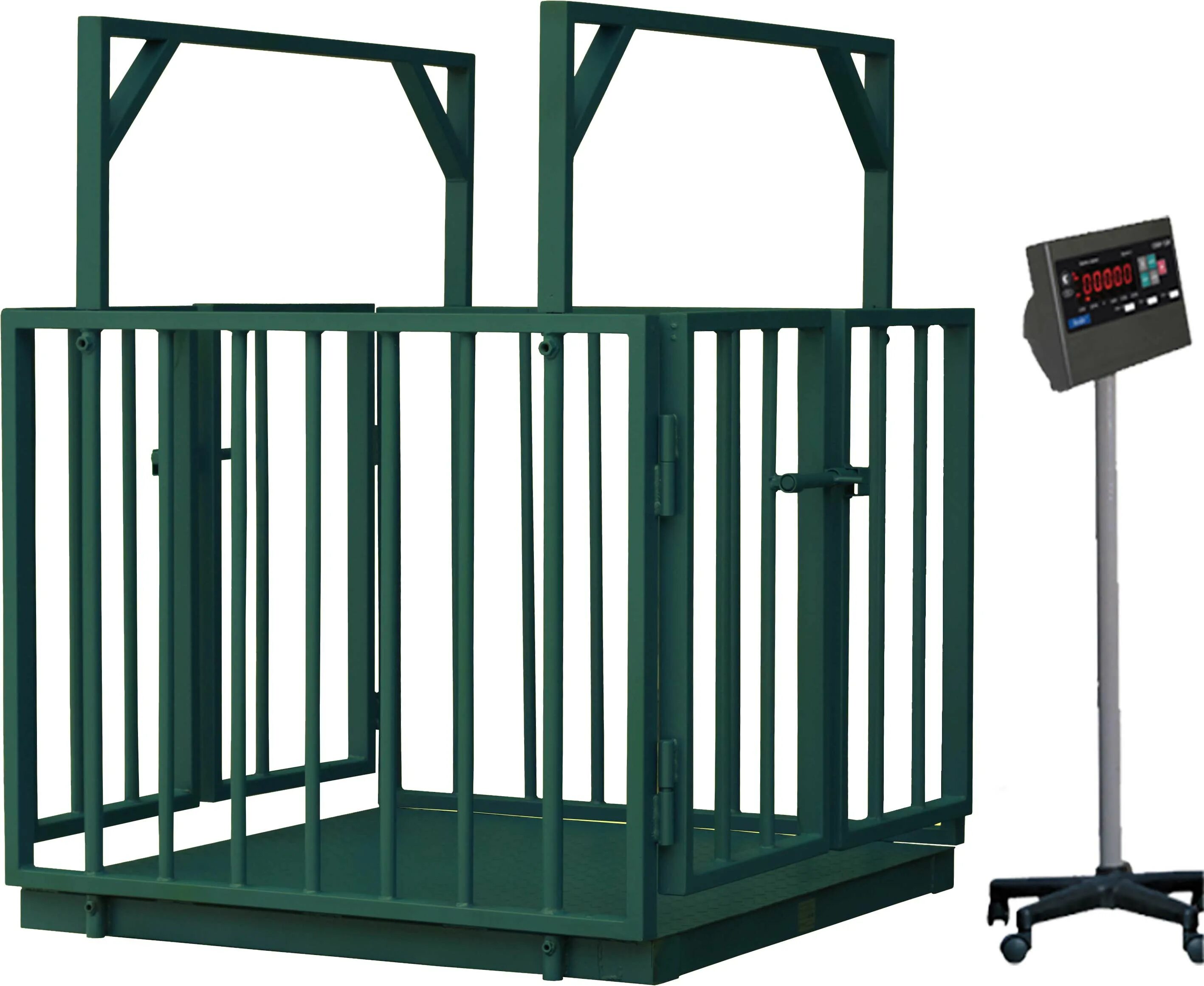 весы 5063 рп 1ш13с для взвешивания животных. передвижные весы для крс. весы для крс. весы для телят. весы для взвешивания крс 1000кг.