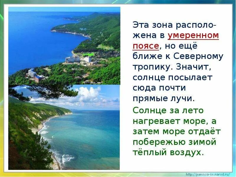 У черного моря окр мир 4 класс. Черное море презентация. черное море презентация 4 класс. у черного моря 4 класс окружающий мир. черное море окружающий мир.