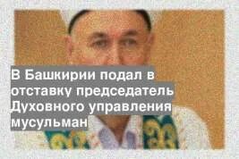 Фас башкирия. Фас башкирия