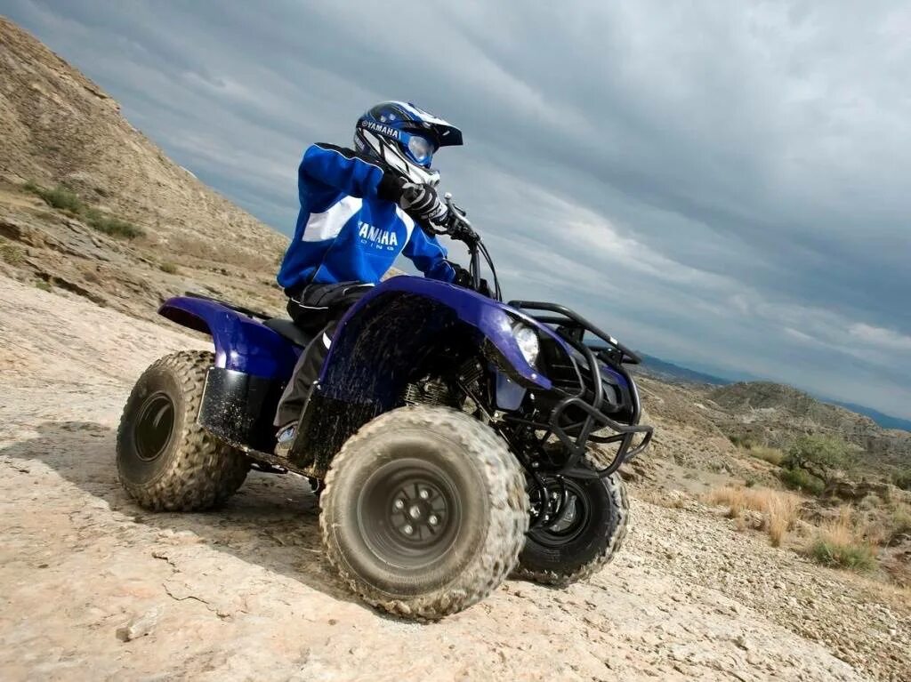 Yamaha Grizzly 125. Квадроцикл Гризли 125. Квадроцикл Ямаха Гризли 125. Квадроцикл Гризли 125 кубов.