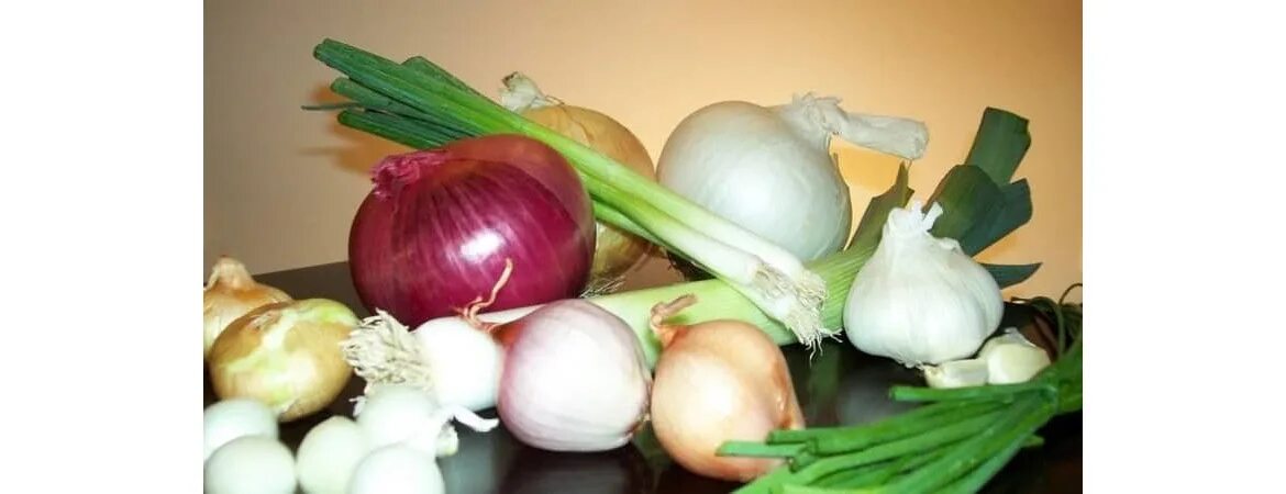 Луков день (луковница). Всероссийский день лука 9 сентября картинки. День лука 9 сентября. Луковый день. Лук 9 день.