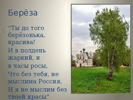 Береза моя березонька 2 класс