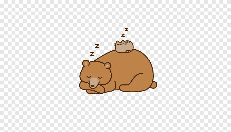 Cat cats bear bears. Медведь и кошка рисунок. Котик с мишкой. Кот-подушка. Котенок и медвежонок.
