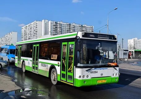 Автобус 567
