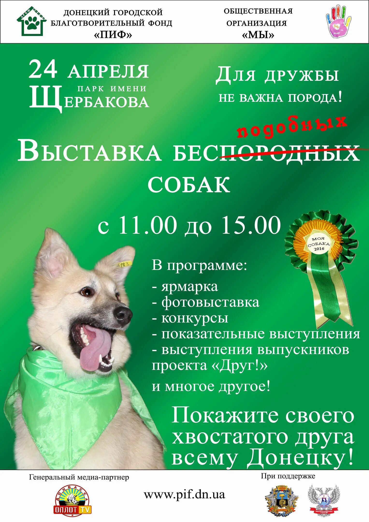 Как называется выставка собак. Название выставок собак. объявление о выставке собак. выставка собак реклама. на выставке собак.