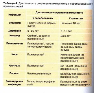 Сколько времени сохраняются антитела