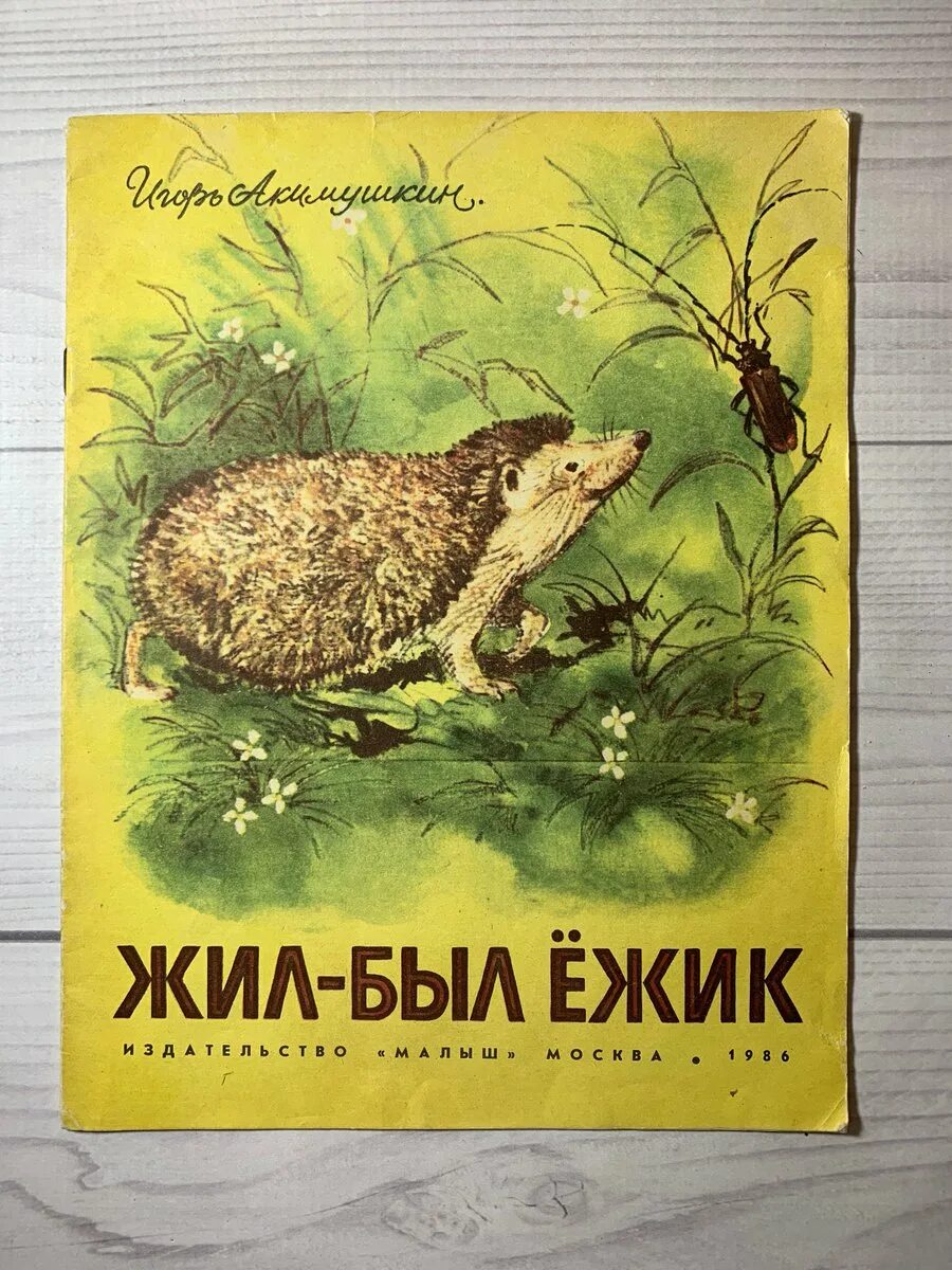 Книги игоря акимушкина. Иллюстрации жил был Ёжик Акимушкин.