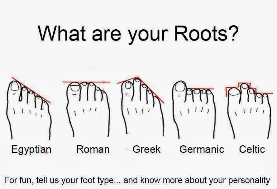 What is a all for. Types of feet. разновидность feet виды стики. roman feet type. what&#039;s your feet type.