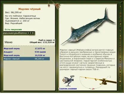 Отчеты о рыбалке марлин