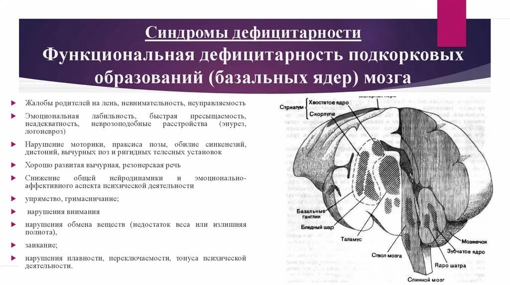 Нейропсихологические синдромы поражения мозга. Синдром функциональной дефицитарности базальных ядер. Функциональная дефицитарность базальных ядер мозга. Функциональная дефицитарность подкорковых. Базальные ядра больших полушарий головного мозга.