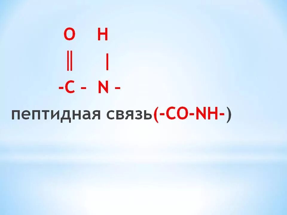 Образование пептидной связи происходит в. Формула белка пептидная связь. Как выглядит пептидная связь. Пептидная связь в белках. Пептидная связь формула.