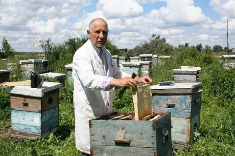 Пчеловод дата выхода 2024