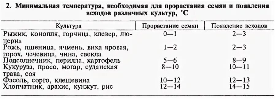Удобрение озимой пшеницы. Сведения о пшенице. Фазы роста озимой ржи. Этапы вегетации озимой пшеницы. Фазы роста озимой пшеницы.