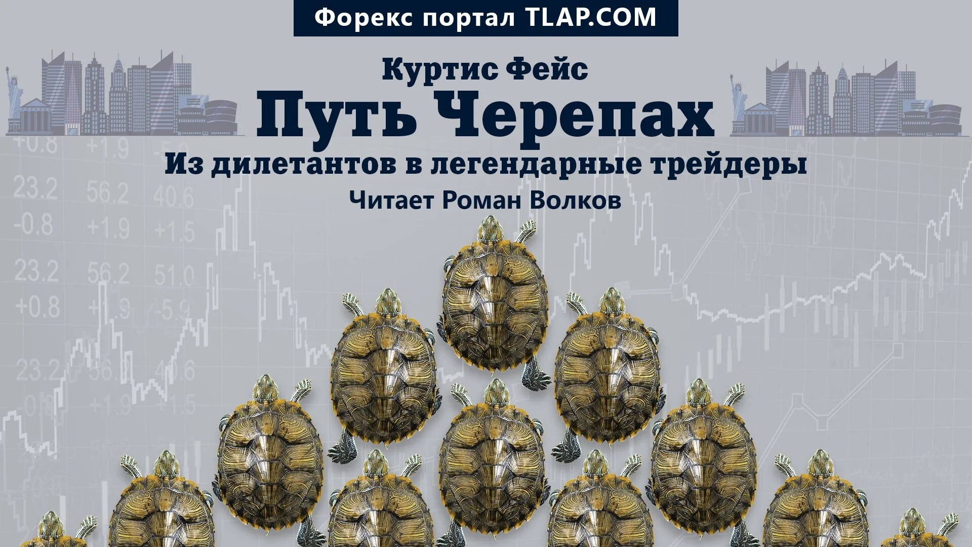 Путь черепахи книга. Путь черепах: из дилетантов в легендарные трейдеры книга. Путь черепах из дилетантов в легендарные трейдеры Куртис фейс. Куртис фейс путь черепах.