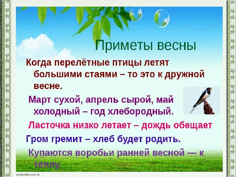 Приметы весны. Приметы о природе. Народные весенние приметы для детей. Народные приметы о весне.