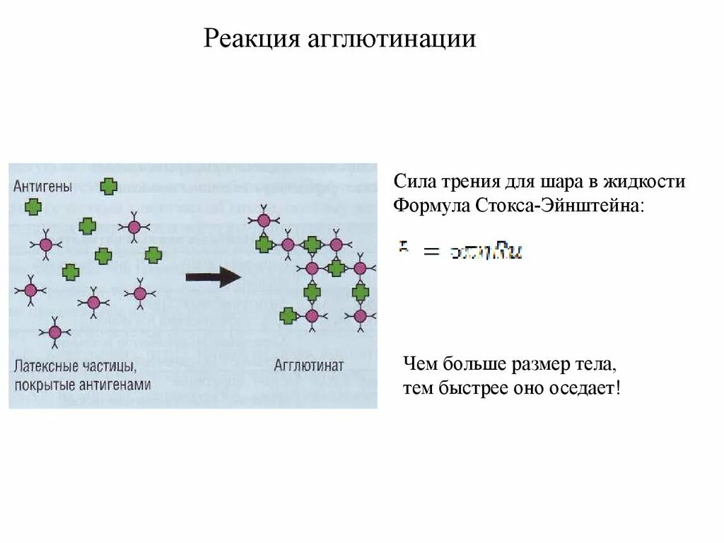 Уравнение Стокса Эйнштейна. Формула Стокса Эйнштейна. Реакция агглютинации. Реакция агглютинации формула. Реакция агглютинации антиген