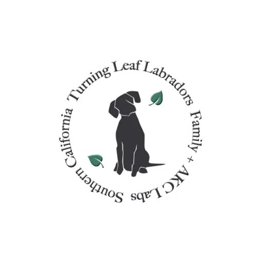 Логотип лабрадор. Лабрика логотип. Собачье лого лабрадор без фона. Надпись лабрадор.