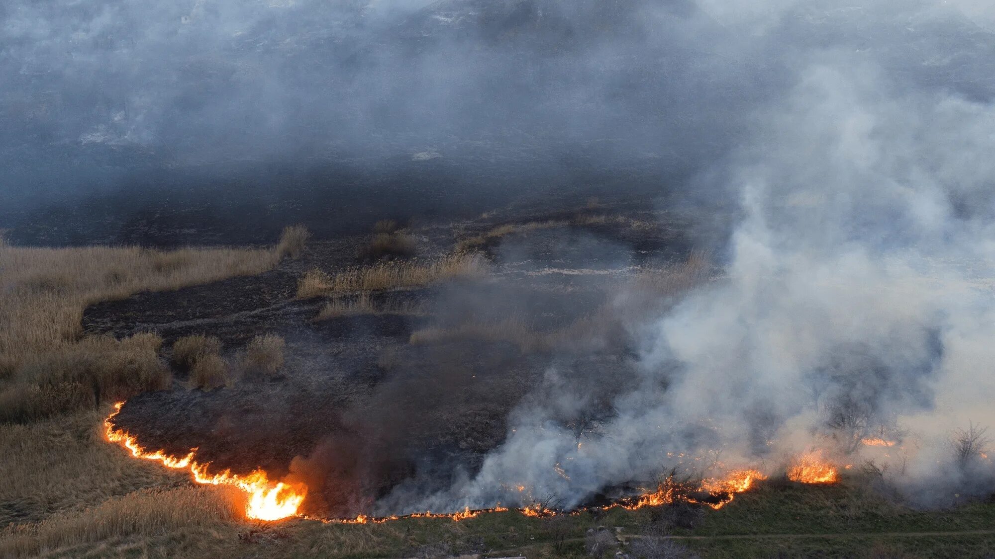 Степные пожары. Пожар в степи. Пожар на природе. Пожары в Волгоградской области. Расширенные пожары
