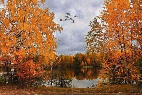Осенью улетели