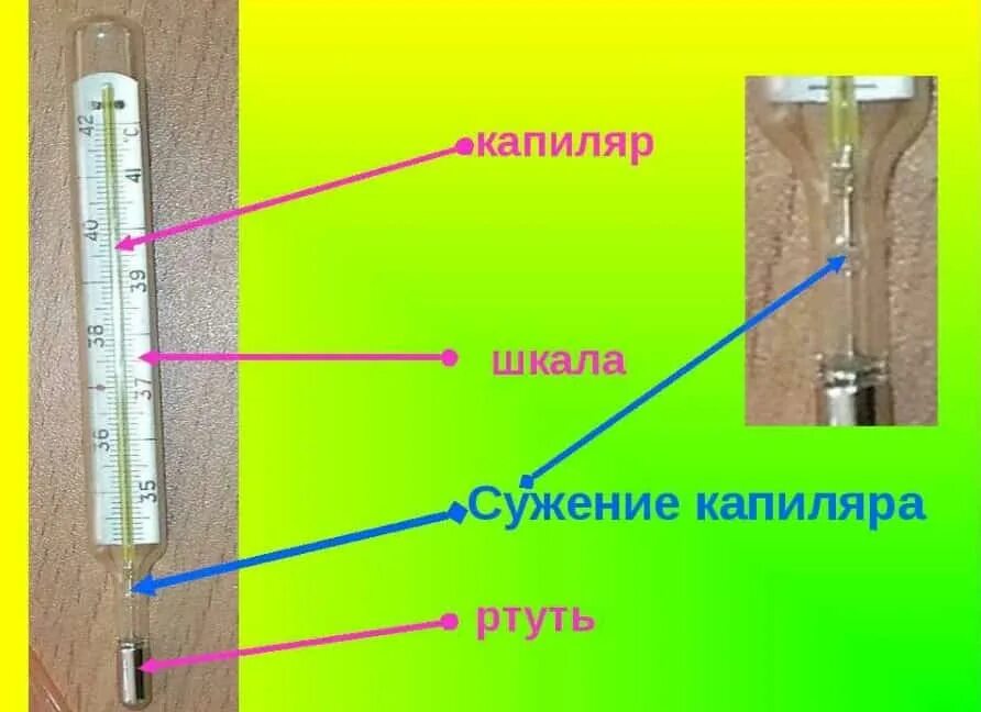 Строение градусника ртутного медицинского. Строение жидкостного термометра. Составные части ртутного термометра. Из чего состоит градусник ртутный для измерения температуры. Резервуар с ртутью