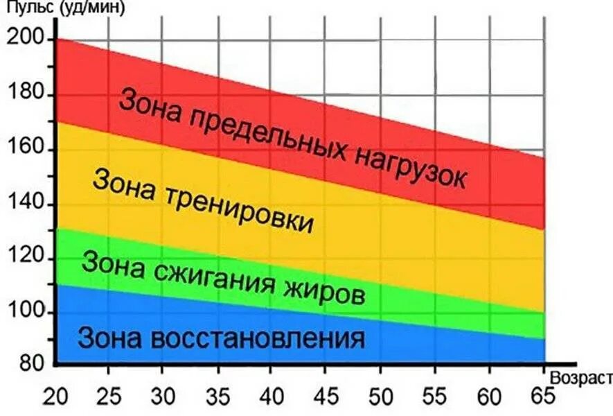 Шкала по возрасту. Какой должен быть пульс при беге для сжигания жира. Зона жиросжигания пульс. Пульс при физических нагрузках для сжигания жира. Пульсовые зоны тренировки.