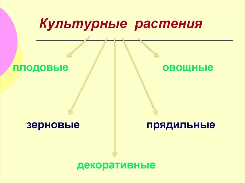 Сельскохозяйственные технологии 5 класс. Культурные растения. Виды культурных растений. Группы культурных растений. Сорта культурных растений.