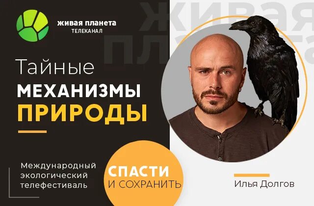 Ведущий Живая Планета. Тайные механизмы природы Живая Планета. Канал живая планета сегодня