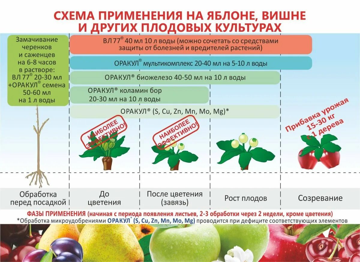 Обработка сада после цветения. Вл-77 удобрения. Схемы обработки плодовых деревьев. Схема обработки яблоневого сада. Схема обработки сада яблоня.