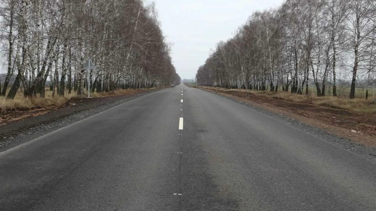 Фатежское ДРСУ Курской области. Любаж Курская область. Автодороги Курская область. Автодороги «Курск-Поныри».