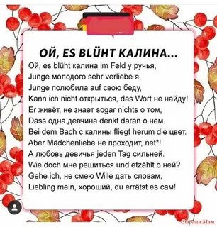 Ой калина в поле у ручья текст